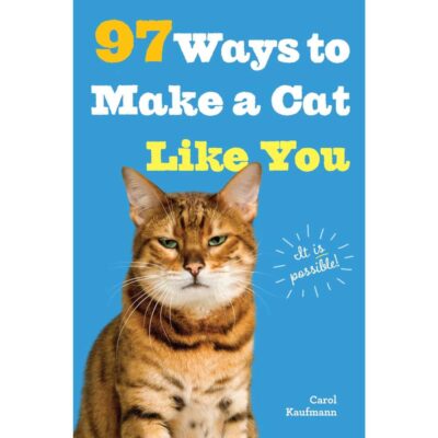 97 Ways To Make Your Cat Like You