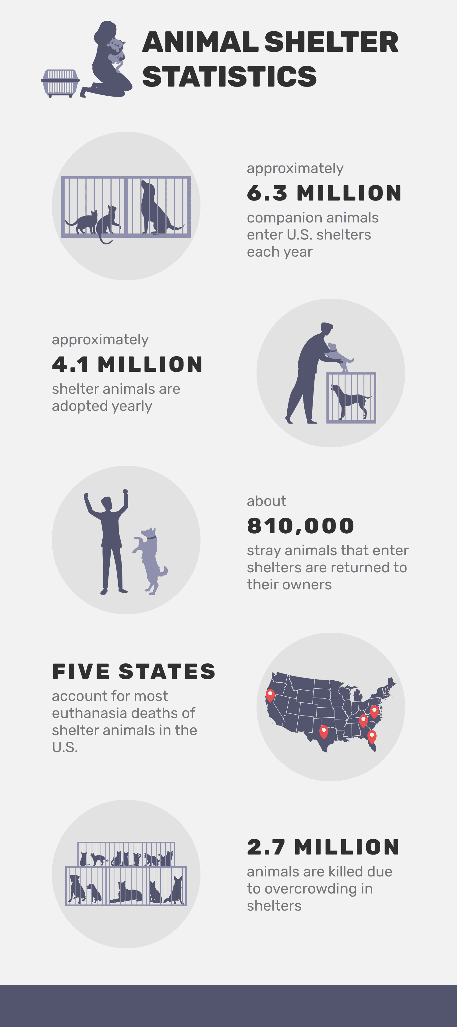 animal shelter statistics