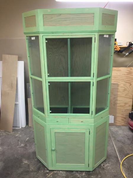 Alicia's Chameleon Cage and Cabinet