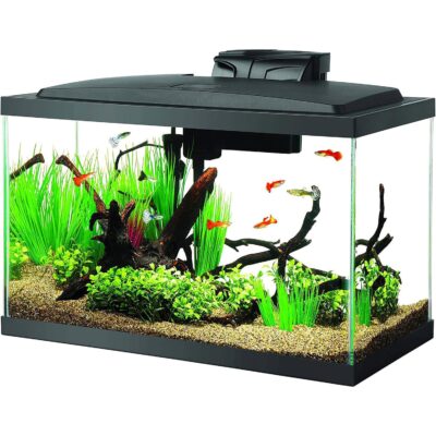 Aqueon LED Fish Aquarium Starter Kit