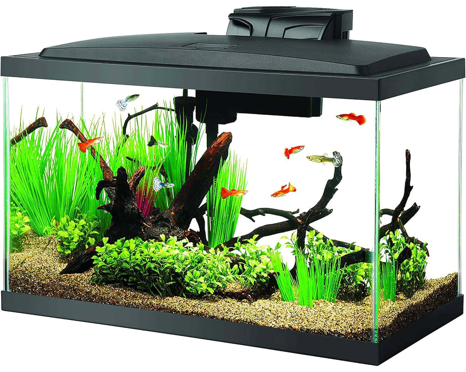Aqueon Aquarium Fish Tank Starter Kit with LED Lighting 10 Gallon Fish Tank