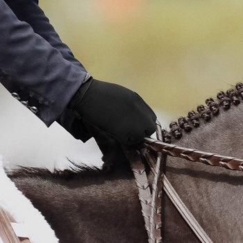 Best Horse Riding Gloves