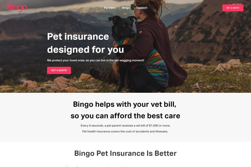 Bingo Pet Insurance
