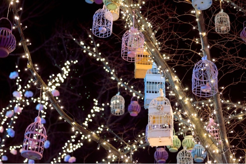 Birdcage Décor