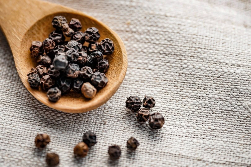 Will Black Pepper Keep Cats Away & Is It Safe to Use? Facts & Safety
