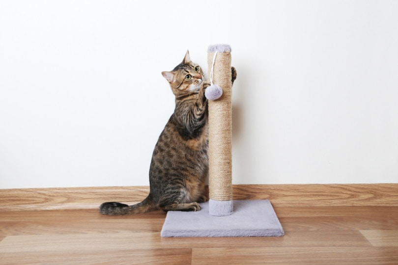 Leather cat scratching post best sale