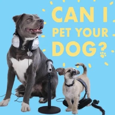 Can I Pet Your Dog
