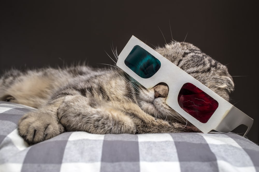 Cat with 3D Glasses