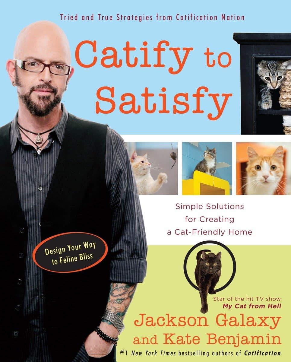 Catify to Satisfy: Solutions for Creating a Cat-Friendly Home