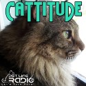 Cattitude