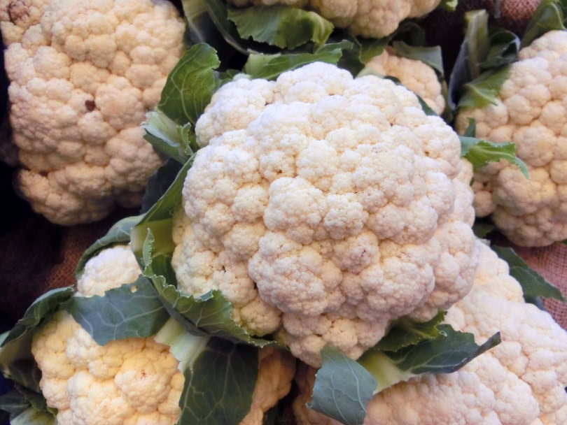 Can Rabbits Eat Cauliflower? VetReviewed Safety Facts & FAQ PangoVet