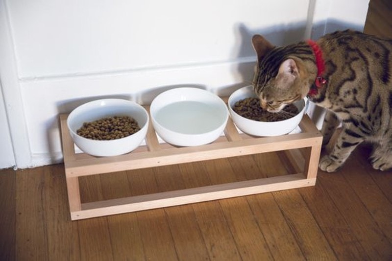 DIY Cat Bowl