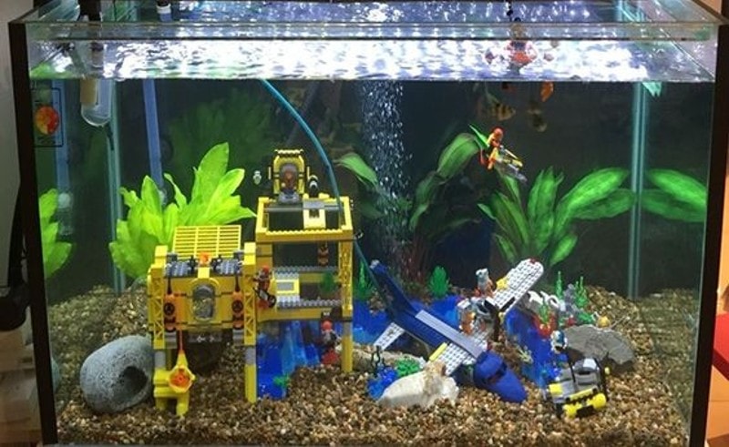 DIY Fish Tank Decor