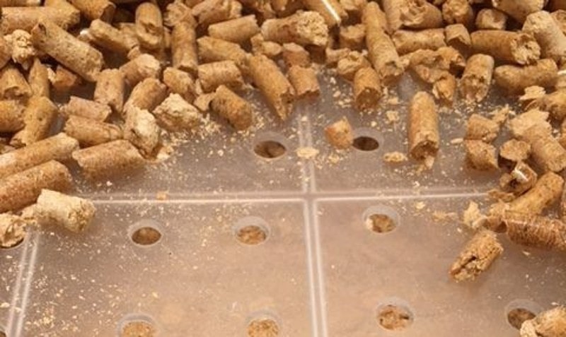 5 DIY Rabbit Litter Box Plans You Can Make Today (With Pictures) | PangoVet