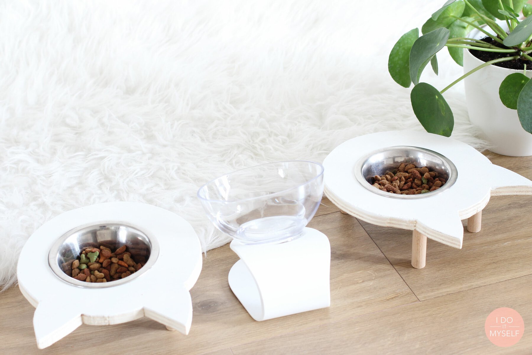 10 Awesome DIY Raised Cat Bowls You Can Make Today With Pictures PangoVet