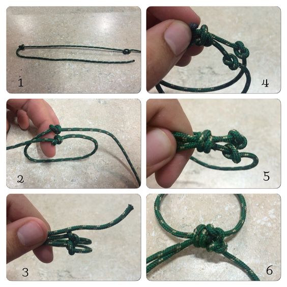 4 DIY Bearded Dragon Harnesses You Can Make Today With Pictures PangoVet