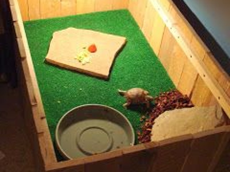 6 DIY Tortoise Table Plans You Can Make Today (With Pictures) | PangoVet