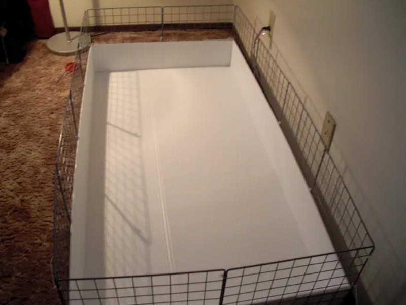 10 DIY Guinea Pig Cage Plans You Can Make Today With Pictures PangoVet