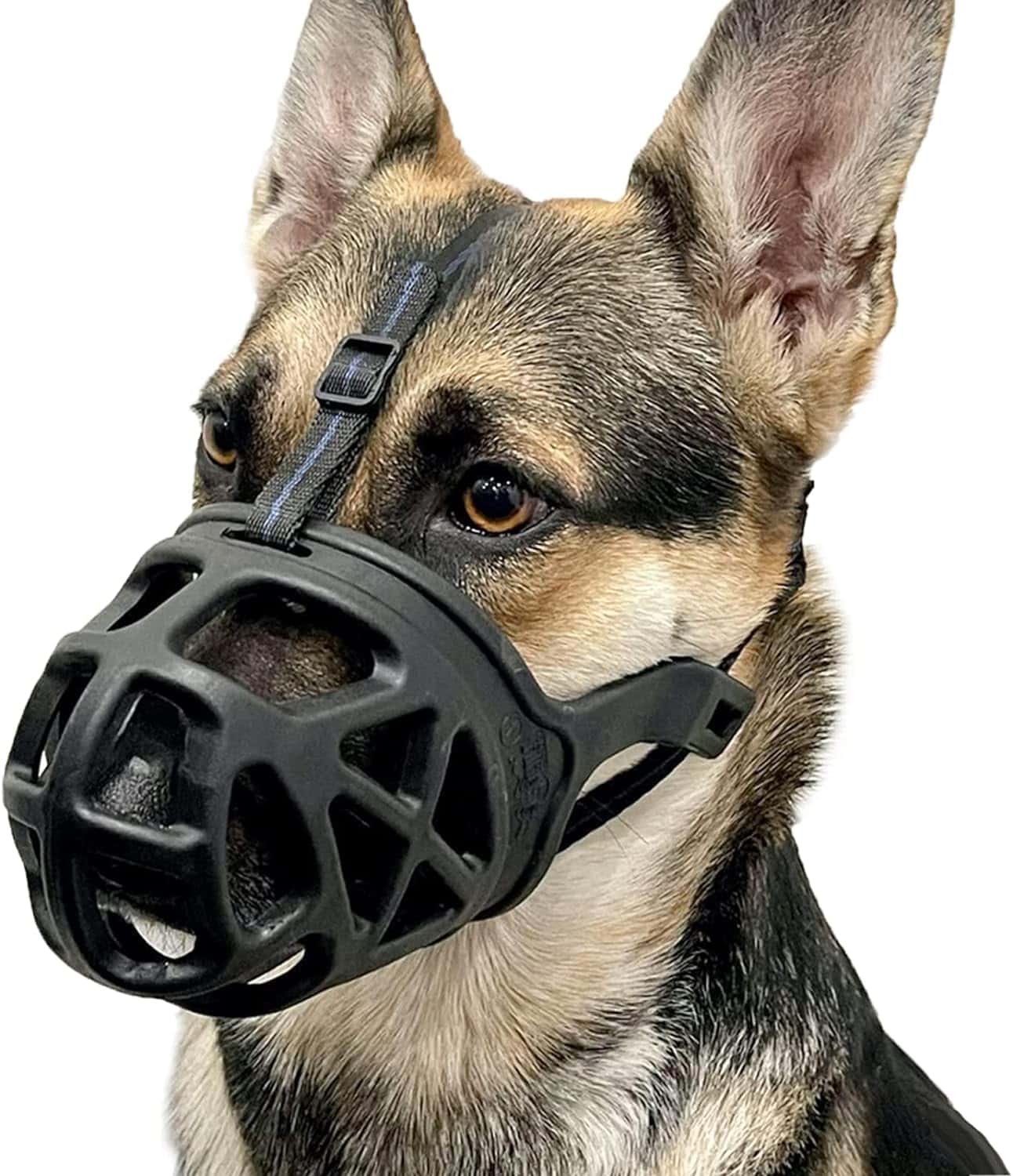 Dog Muzzle Basket Muzzle for Biting
