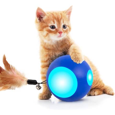 EZFUN Cat Toy
