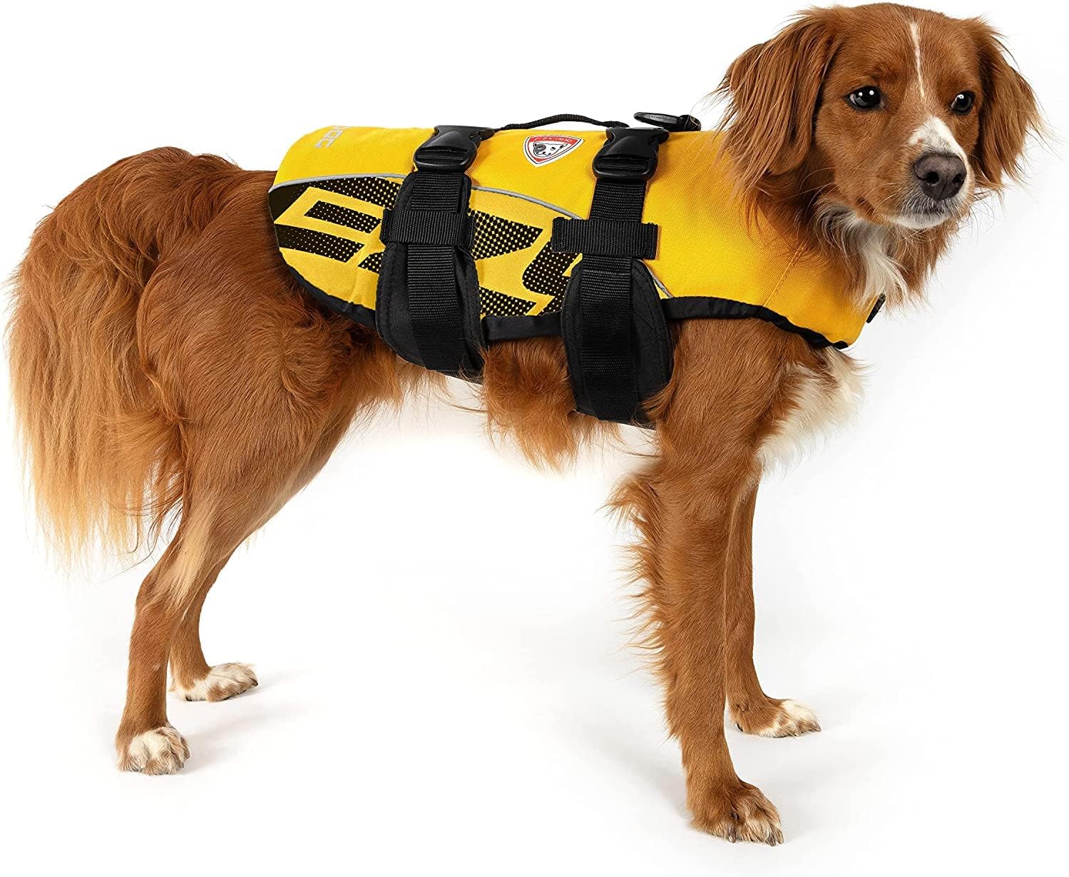 6 Best Dog Life Jackets in 2024 Reviews & Top Picks PangoVet