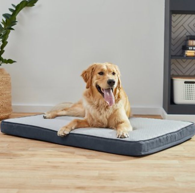 11 Best Black Friday Dog Bed Deals & Sales 2024 (Save Up to 50) PangoVet