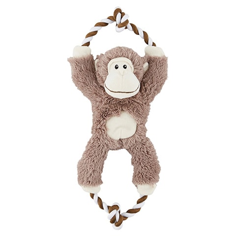 Frisco Plush with Rope Monkey Toy