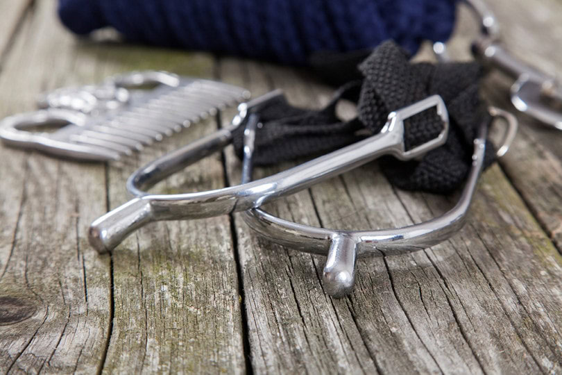 Do Spurs Hurt Horses? Is It Ethical? (Facts, & FAQ) PangoVet