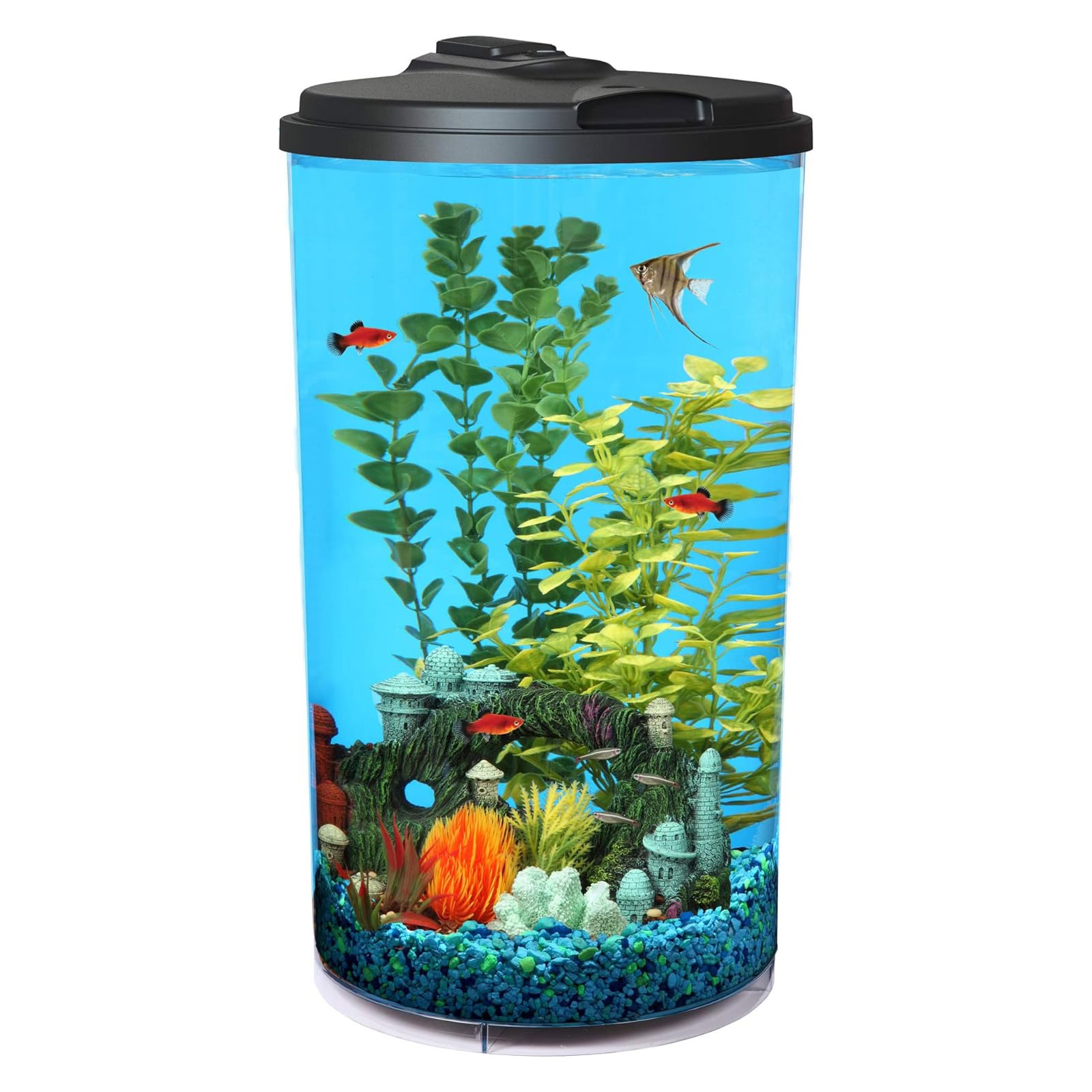 Koller Products Plastic 6-Gallon AquaView 360 Aquarium Kit