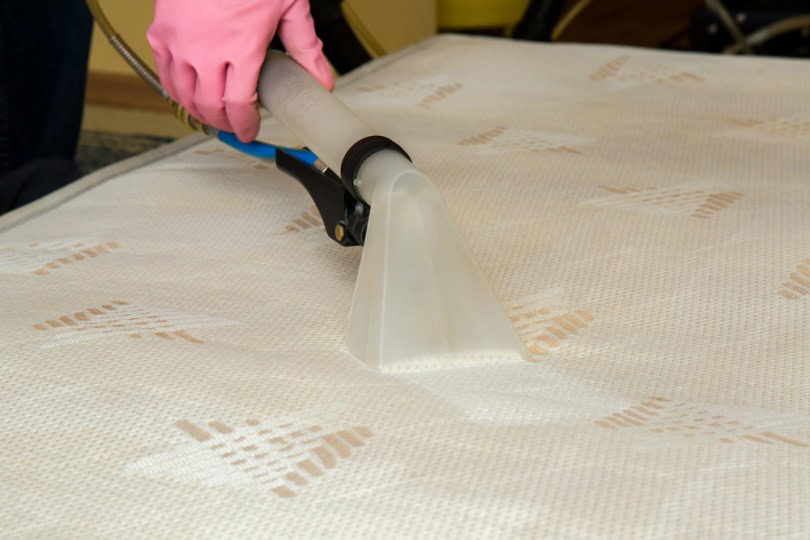 Mattress getting vacummed by professional