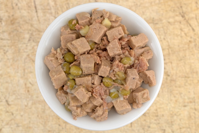 Moist dog food in a bowl