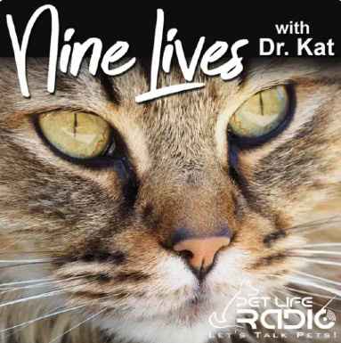 Nine Lives with Dr. Kat