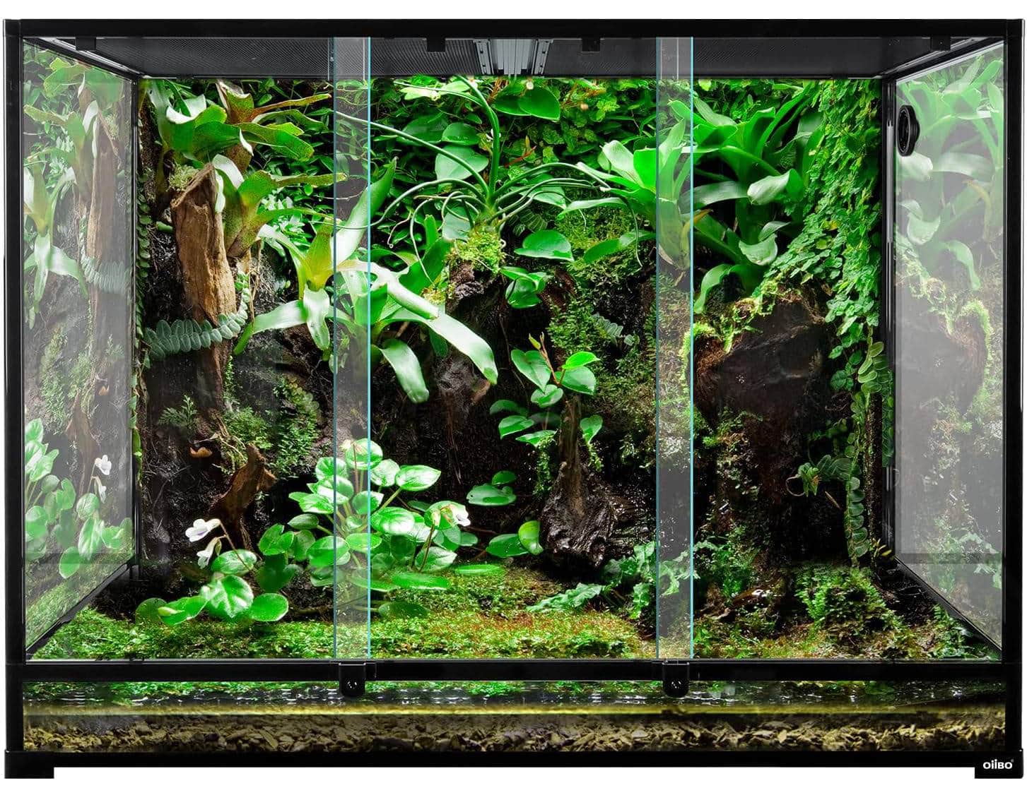 OIIBO Large Glass Reptile Terrarium