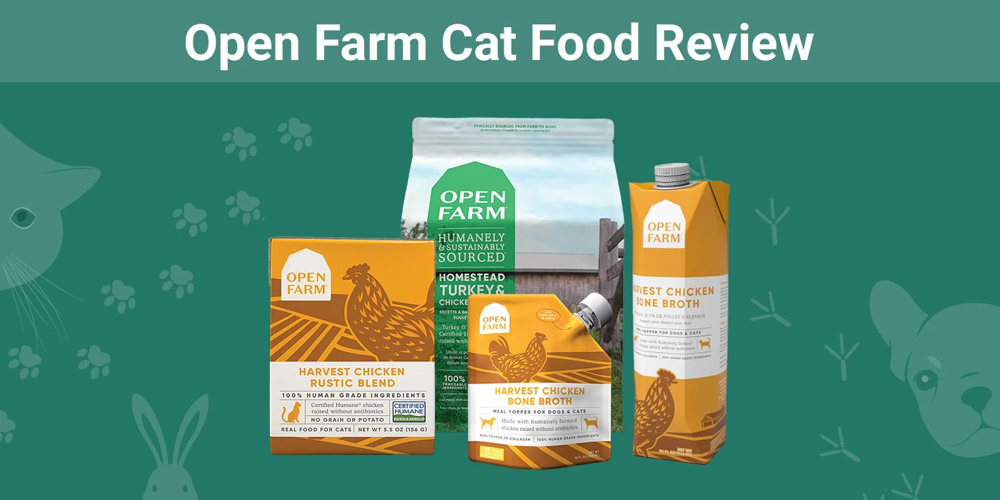 Open Farm cat food reviews and customer experiences regarding nutrition and palatability