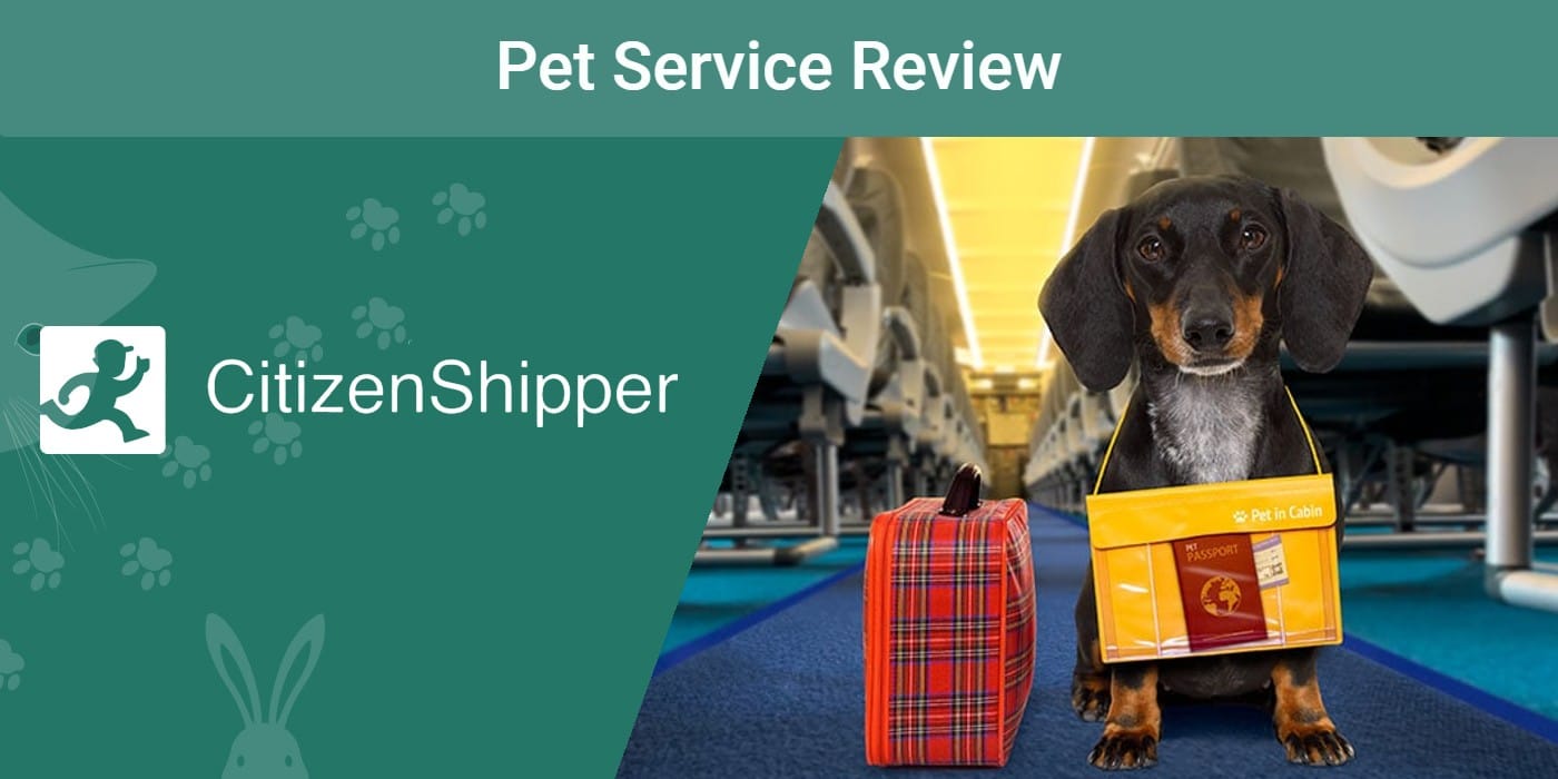 CitizenShipper Pet Shipping Review 2024 Our Expert’s Opinion PangoVet