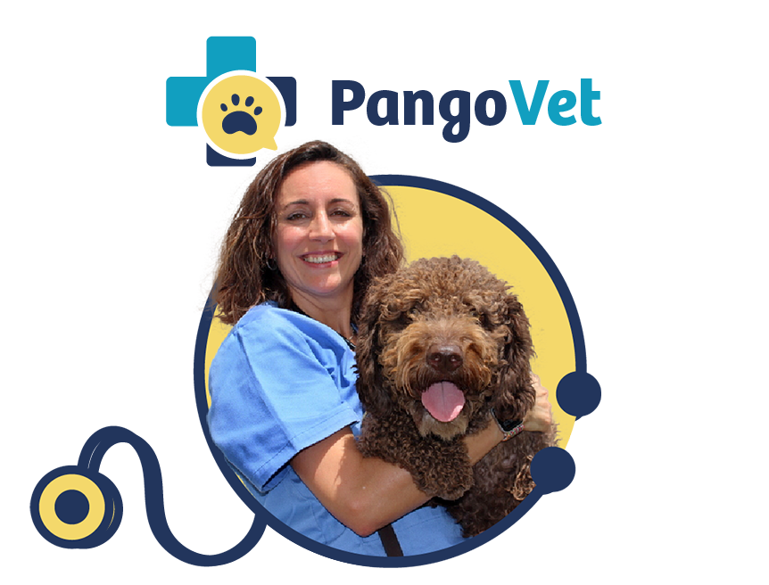 PangoVet info box