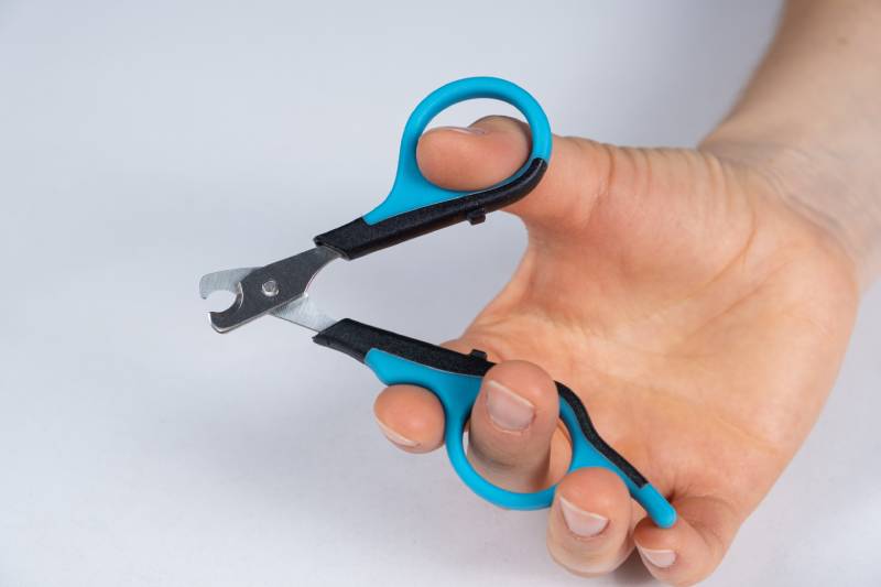 Sharpening dog nail clippers new arrivals