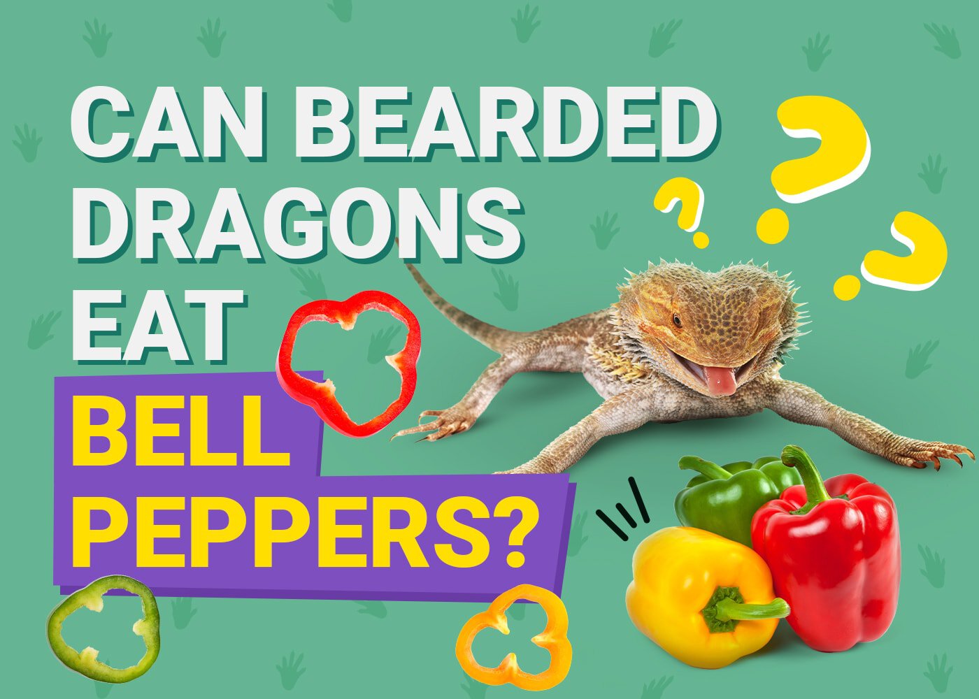 Can Bearded Dragons Eat Bell Peppers? Vet-Approved Nutritional 