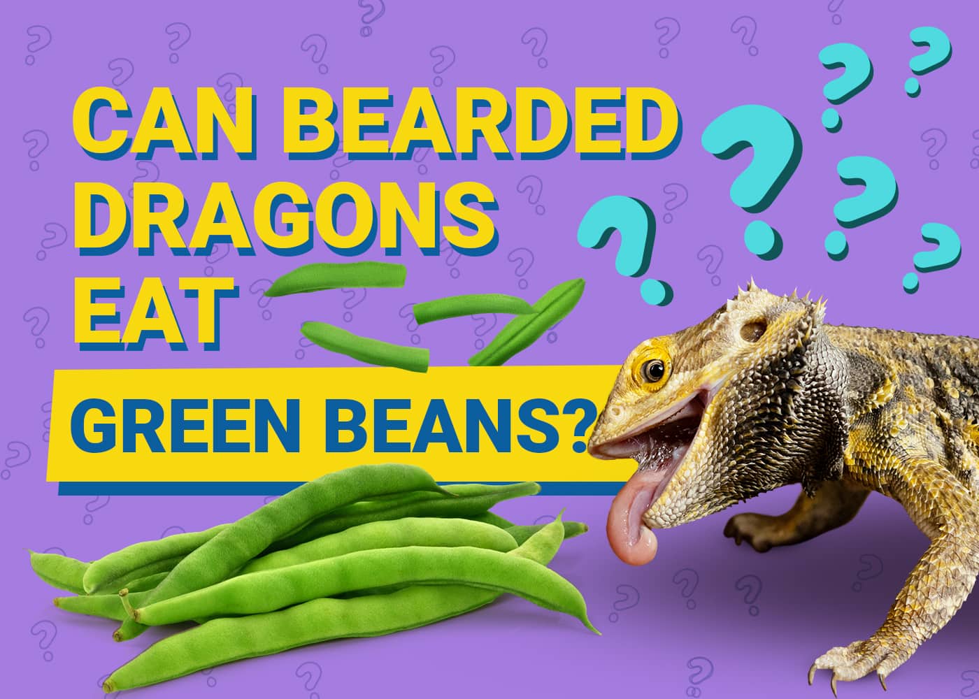 Can Bearded Dragons Eat Green Beans? Vet-Approved Facts &amp; FAQ 