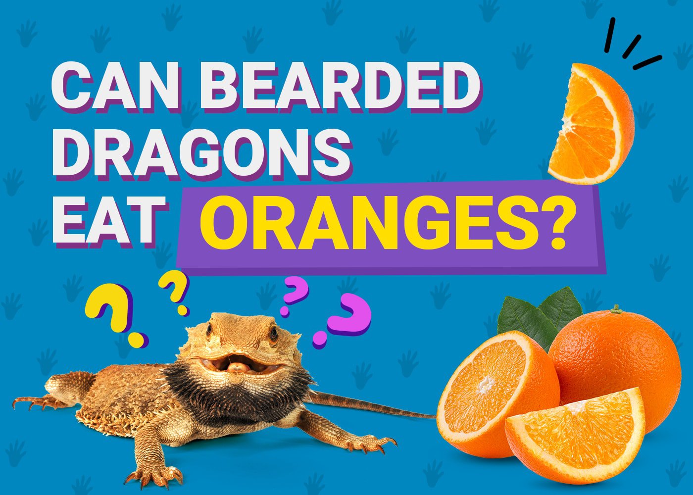 Can Bearded Dragons Eat Oranges? Vet-Approved Nutritional Facts 