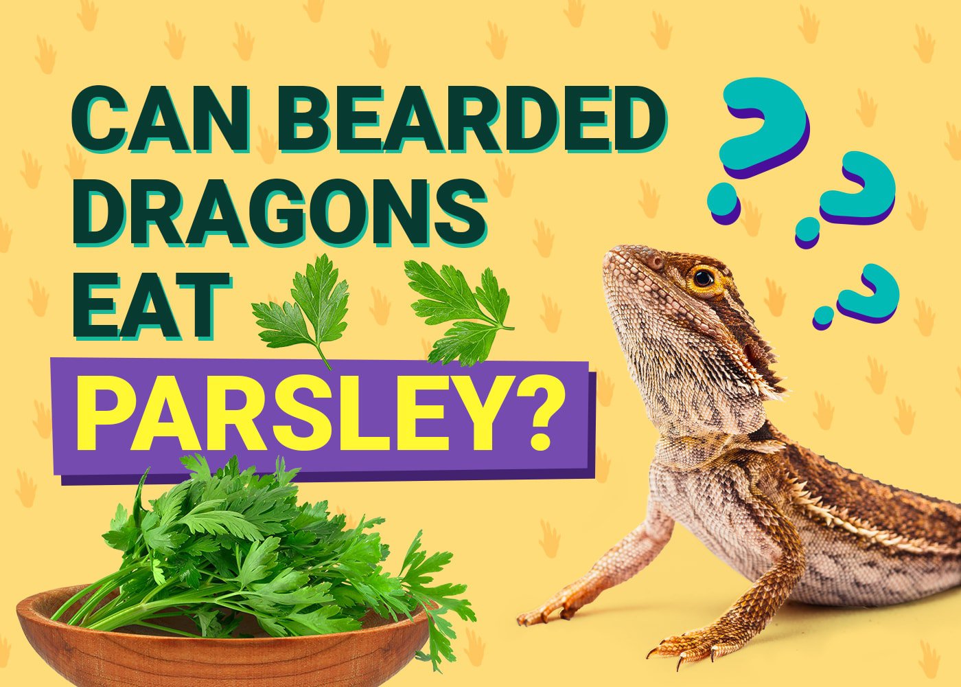 Can Bearded Dragons Eat Parsley? Our Vet Answers | PangoVet