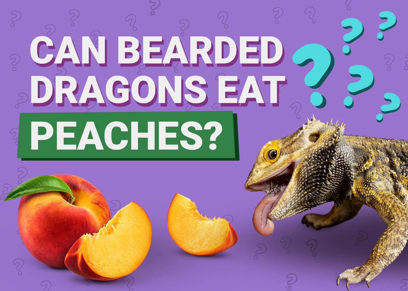 Can Bearded Dragons Eat Peaches? Vet-Approved Nutritional Facts 