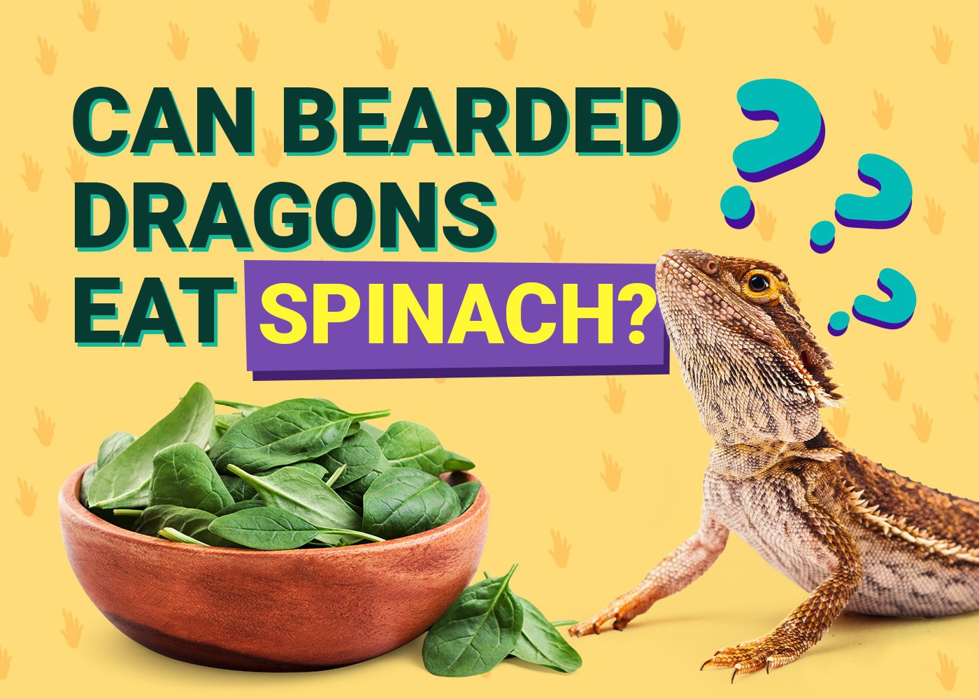 Can Bearded Dragons Eat Spinach? Vet-Verified Nutritional Science 