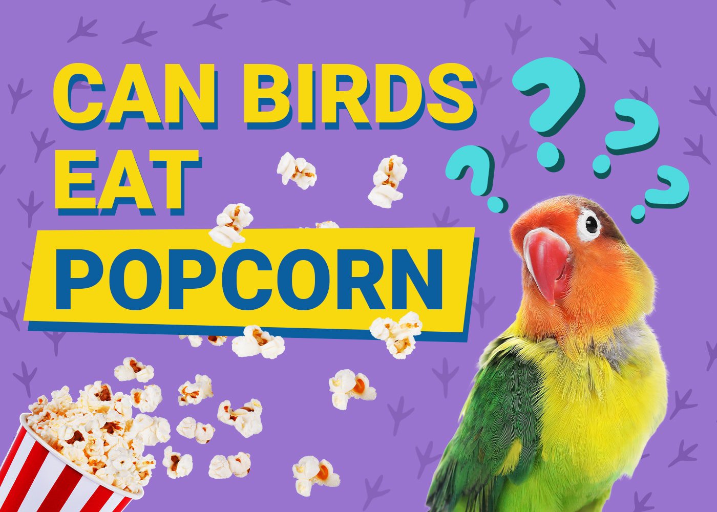 Can Birds Eat Popcorn? Vet Reviewed Facts &amp; Safety Tips | PangoVet