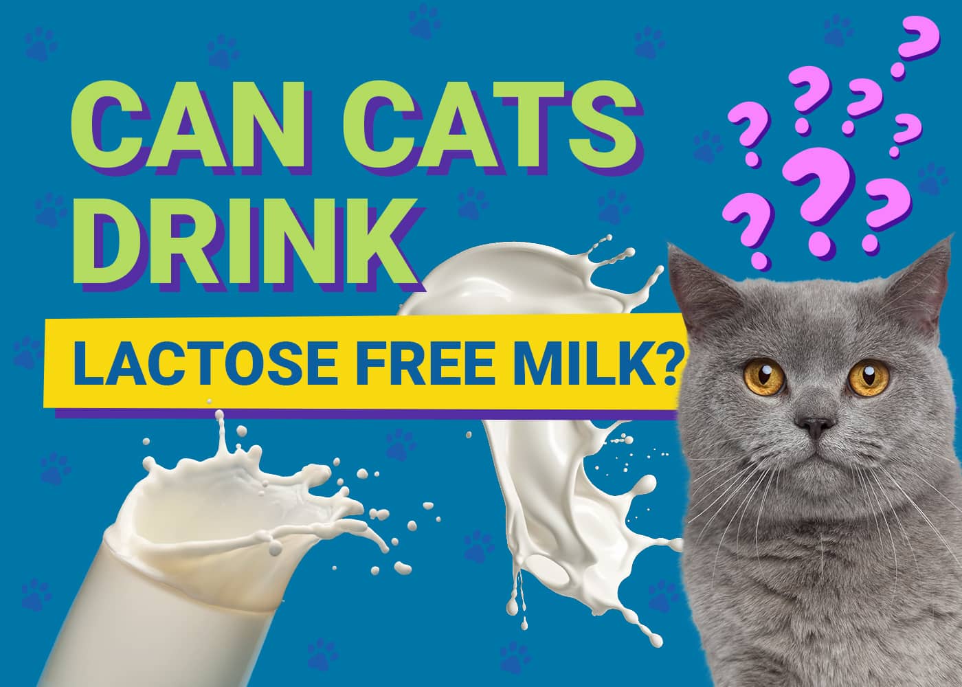 Can Cats Drink Lactose-Free Milk? Vet-Approved Facts &amp; Safety 