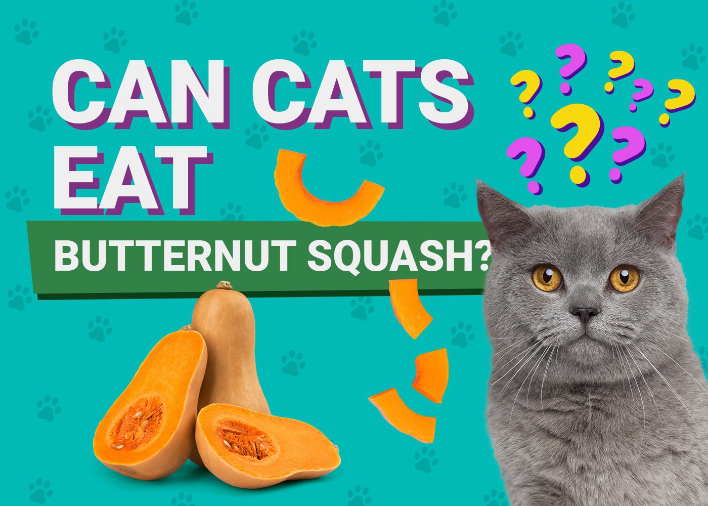 Fruits cats can eat hotsell