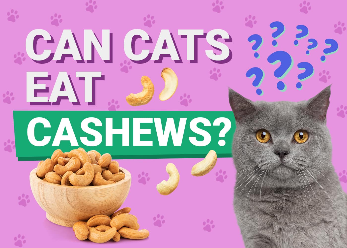 Can Cats Eat Cashews? Vet Reviewed Nutrition Facts &amp; FAQ | PangoVet