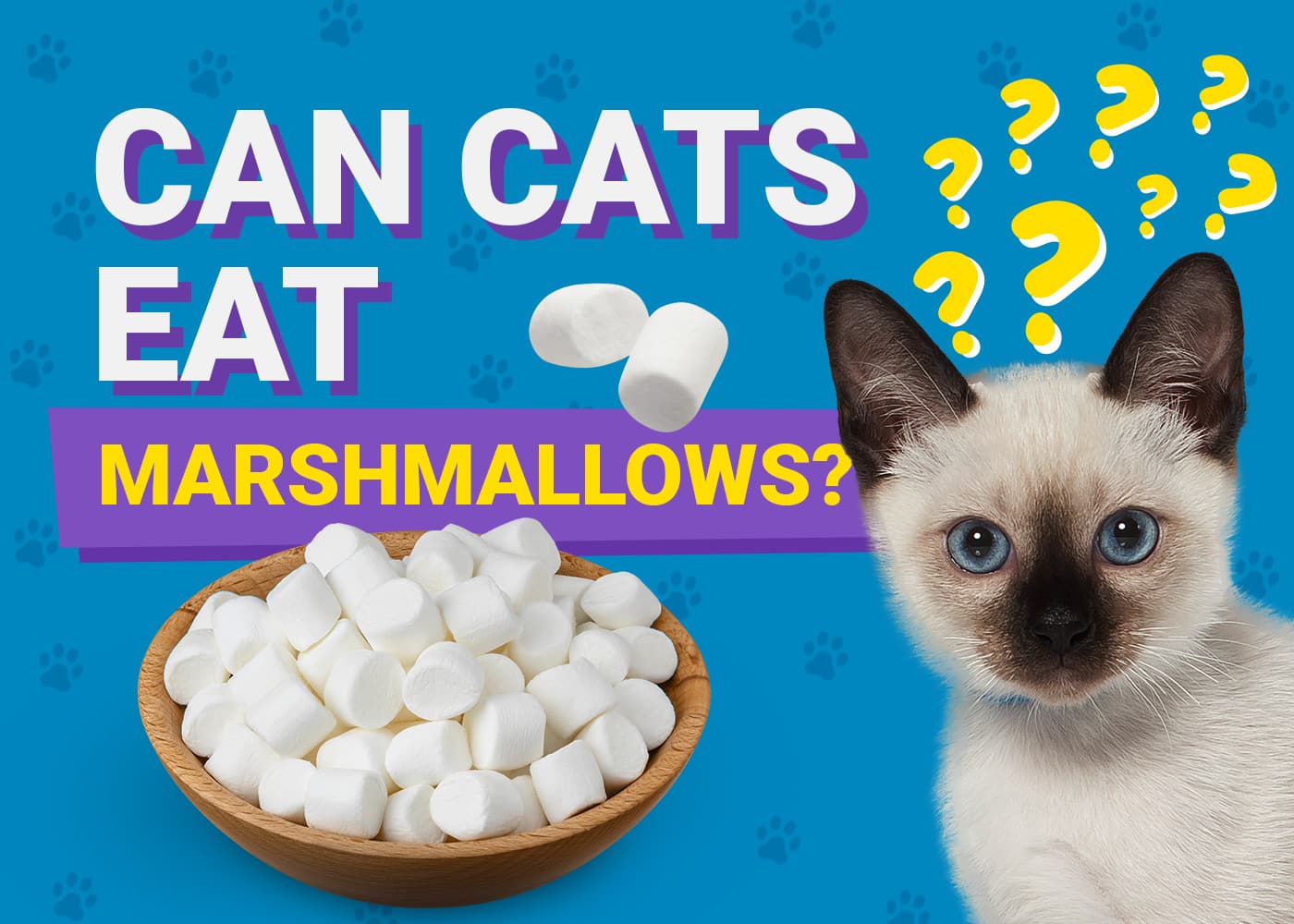 Can Cats Eat Marshmallows? Vet Reviewed Nutrition Facts | PangoVet