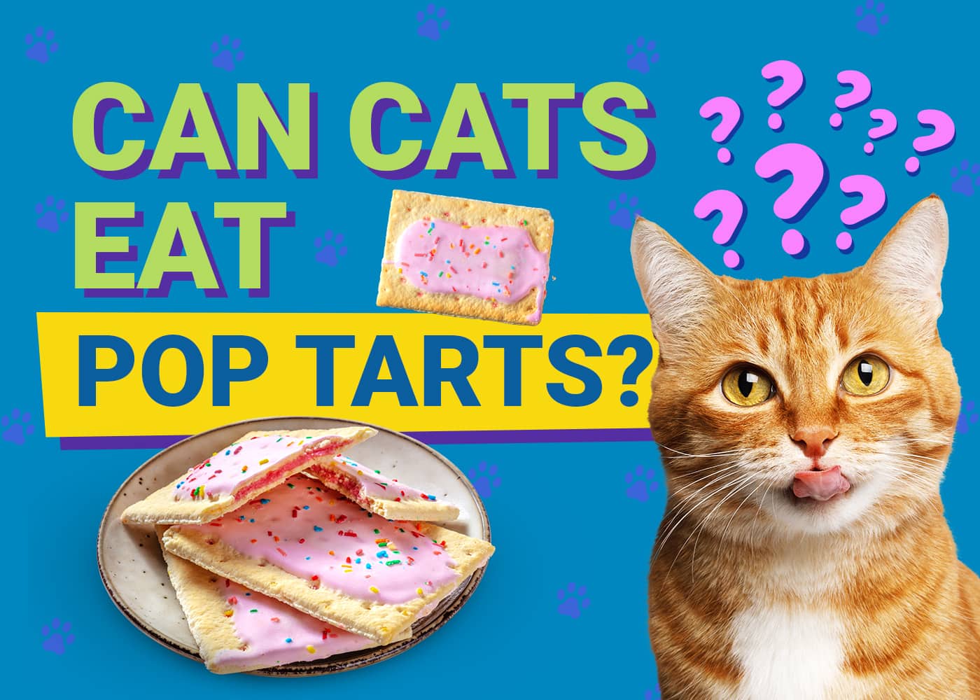 Can Cats Eat Pop Tarts Vet Reviewed Facts Safety Guide PangoVet