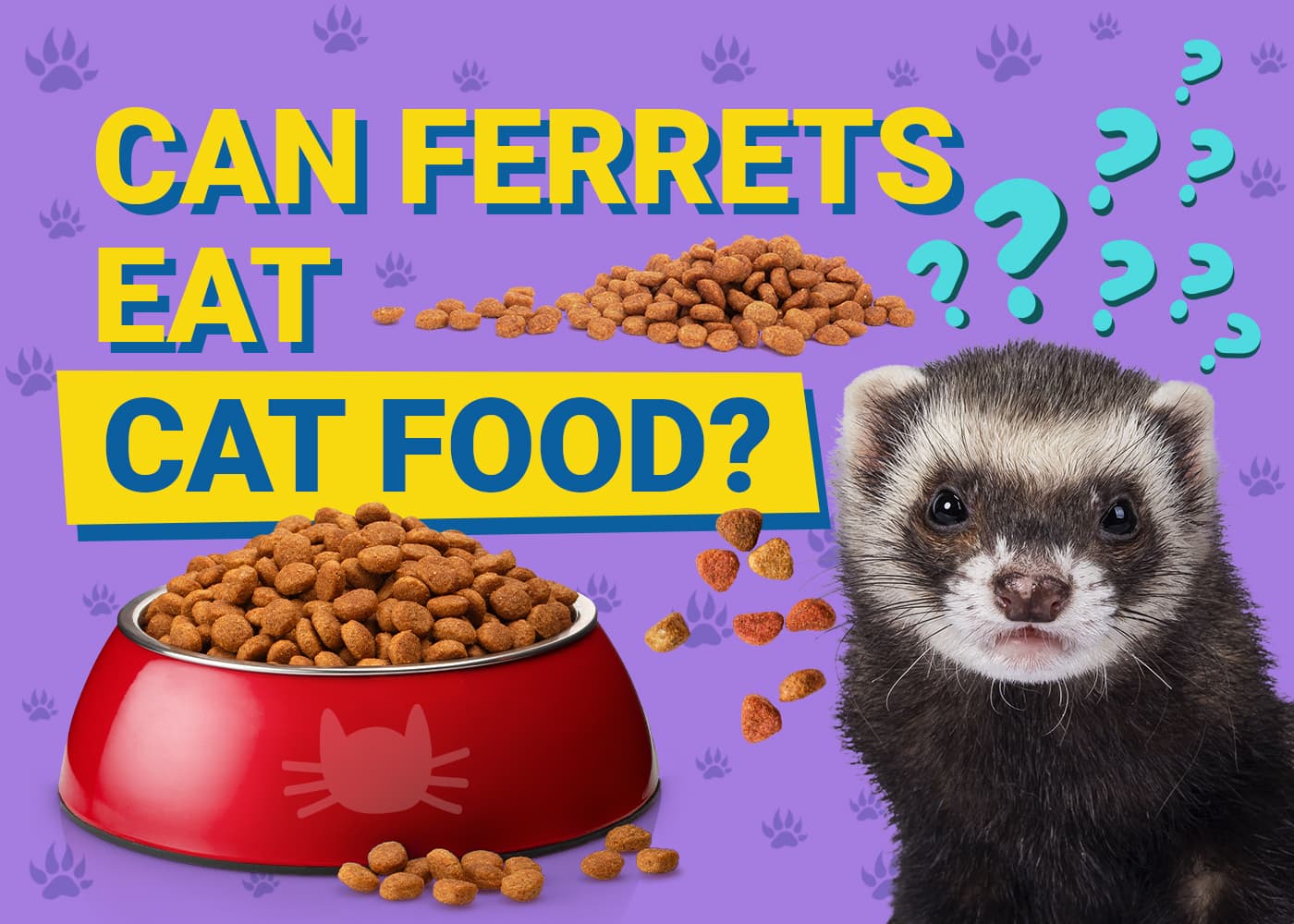 Cat treats for ferrets best sale